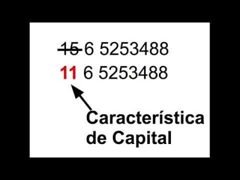 numeros de telefonos en argentina