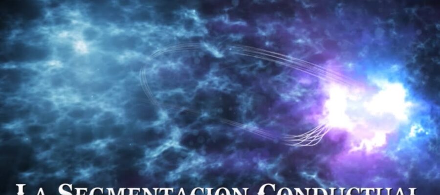 segmentacion conductual