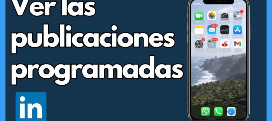 ver publicaciones programadas linkedin